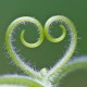 灰常记忆-<span class="yue-author-wrapper">搬瓦工<span class="yue-location"><svg class="yue-icon" viewBox="0 0 368.666 368.666" width="14" height="14"><g><path d="M184.333,0C102.01,0,35.036,66.974,35.036,149.297c0,33.969,11.132,65.96,32.193,92.515c27.27,34.383,106.572,116.021,109.934,119.479l7.169,7.375l7.17-7.374c3.364-3.46,82.69-85.116,109.964-119.51c21.042-26.534,32.164-58.514,32.164-92.485C333.63,66.974,266.656,0,184.333,0z M285.795,229.355c-21.956,27.687-80.92,89.278-101.462,110.581c-20.54-21.302-79.483-82.875-101.434-110.552c-18.228-22.984-27.863-50.677-27.863-80.087C55.036,78.002,113.038,20,184.333,20c71.294,0,129.297,58.002,129.296,129.297C313.629,178.709,304.004,206.393,285.795,229.355z"/><path d="M184.333,59.265c-48.73,0-88.374,39.644-88.374,88.374c0,48.73,39.645,88.374,88.374,88.374s88.374-39.645,88.374-88.374S233.063,59.265,184.333,59.265z M184.333,216.013c-37.702,0-68.374-30.673-68.374-68.374c0-37.702,30.673-68.374,68.374-68.374s68.373,30.673,68.374,68.374C252.707,185.341,222.035,216.013,184.333,216.013z"/></g></svg>来自中国·江苏省</span></span>
