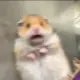 fhpyxzy