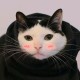 灰常记忆-<span class="yue-author-wrapper">尹先生<span class="yue-location"><svg class="yue-icon" viewBox="0 0 368.666 368.666" width="14" height="14"><g><path d="M184.333,0C102.01,0,35.036,66.974,35.036,149.297c0,33.969,11.132,65.96,32.193,92.515c27.27,34.383,106.572,116.021,109.934,119.479l7.169,7.375l7.17-7.374c3.364-3.46,82.69-85.116,109.964-119.51c21.042-26.534,32.164-58.514,32.164-92.485C333.63,66.974,266.656,0,184.333,0z M285.795,229.355c-21.956,27.687-80.92,89.278-101.462,110.581c-20.54-21.302-79.483-82.875-101.434-110.552c-18.228-22.984-27.863-50.677-27.863-80.087C55.036,78.002,113.038,20,184.333,20c71.294,0,129.297,58.002,129.296,129.297C313.629,178.709,304.004,206.393,285.795,229.355z"/><path d="M184.333,59.265c-48.73,0-88.374,39.644-88.374,88.374c0,48.73,39.645,88.374,88.374,88.374s88.374-39.645,88.374-88.374S233.063,59.265,184.333,59.265z M184.333,216.013c-37.702,0-68.374-30.673-68.374-68.374c0-37.702,30.673-68.374,68.374-68.374s68.373,30.673,68.374,68.374C252.707,185.341,222.035,216.013,184.333,216.013z"/></g></svg>来自中国·新疆</span></span>