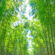 灰常记忆-<span class="yue-author-wrapper">36tx.com<span class="yue-location"><svg class="yue-icon" viewBox="0 0 368.666 368.666" width="14" height="14"><g><path d="M184.333,0C102.01,0,35.036,66.974,35.036,149.297c0,33.969,11.132,65.96,32.193,92.515c27.27,34.383,106.572,116.021,109.934,119.479l7.169,7.375l7.17-7.374c3.364-3.46,82.69-85.116,109.964-119.51c21.042-26.534,32.164-58.514,32.164-92.485C333.63,66.974,266.656,0,184.333,0z M285.795,229.355c-21.956,27.687-80.92,89.278-101.462,110.581c-20.54-21.302-79.483-82.875-101.434-110.552c-18.228-22.984-27.863-50.677-27.863-80.087C55.036,78.002,113.038,20,184.333,20c71.294,0,129.297,58.002,129.296,129.297C313.629,178.709,304.004,206.393,285.795,229.355z"/><path d="M184.333,59.265c-48.73,0-88.374,39.644-88.374,88.374c0,48.73,39.645,88.374,88.374,88.374s88.374-39.645,88.374-88.374S233.063,59.265,184.333,59.265z M184.333,216.013c-37.702,0-68.374-30.673-68.374-68.374c0-37.702,30.673-68.374,68.374-68.374s68.373,30.673,68.374,68.374C252.707,185.341,222.035,216.013,184.333,216.013z"/></g></svg>来自United States·Washington, D.C.</span></span>