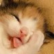 灰常记忆-<span class="yue-author-wrapper">蓝米云<span class="yue-location"><svg class="yue-icon" viewBox="0 0 368.666 368.666" width="14" height="14"><g><path d="M184.333,0C102.01,0,35.036,66.974,35.036,149.297c0,33.969,11.132,65.96,32.193,92.515c27.27,34.383,106.572,116.021,109.934,119.479l7.169,7.375l7.17-7.374c3.364-3.46,82.69-85.116,109.964-119.51c21.042-26.534,32.164-58.514,32.164-92.485C333.63,66.974,266.656,0,184.333,0z M285.795,229.355c-21.956,27.687-80.92,89.278-101.462,110.581c-20.54-21.302-79.483-82.875-101.434-110.552c-18.228-22.984-27.863-50.677-27.863-80.087C55.036,78.002,113.038,20,184.333,20c71.294,0,129.297,58.002,129.296,129.297C313.629,178.709,304.004,206.393,285.795,229.355z"/><path d="M184.333,59.265c-48.73,0-88.374,39.644-88.374,88.374c0,48.73,39.645,88.374,88.374,88.374s88.374-39.645,88.374-88.374S233.063,59.265,184.333,59.265z M184.333,216.013c-37.702,0-68.374-30.673-68.374-68.374c0-37.702,30.673-68.374,68.374-68.374s68.373,30.673,68.374,68.374C252.707,185.341,222.035,216.013,184.333,216.013z"/></g></svg>来自中国·重庆</span></span>