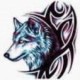 灰常记忆-<span class="yue-author-wrapper">灰狼<span class="yue-location"><svg class="yue-icon" viewBox="0 0 368.666 368.666" width="14" height="14"><g><path d="M184.333,0C102.01,0,35.036,66.974,35.036,149.297c0,33.969,11.132,65.96,32.193,92.515c27.27,34.383,106.572,116.021,109.934,119.479l7.169,7.375l7.17-7.374c3.364-3.46,82.69-85.116,109.964-119.51c21.042-26.534,32.164-58.514,32.164-92.485C333.63,66.974,266.656,0,184.333,0z M285.795,229.355c-21.956,27.687-80.92,89.278-101.462,110.581c-20.54-21.302-79.483-82.875-101.434-110.552c-18.228-22.984-27.863-50.677-27.863-80.087C55.036,78.002,113.038,20,184.333,20c71.294,0,129.297,58.002,129.296,129.297C313.629,178.709,304.004,206.393,285.795,229.355z"/><path d="M184.333,59.265c-48.73,0-88.374,39.644-88.374,88.374c0,48.73,39.645,88.374,88.374,88.374s88.374-39.645,88.374-88.374S233.063,59.265,184.333,59.265z M184.333,216.013c-37.702,0-68.374-30.673-68.374-68.374c0-37.702,30.673-68.374,68.374-68.374s68.373,30.673,68.374,68.374C252.707,185.341,222.035,216.013,184.333,216.013z"/></g></svg>来自中国·广东省</span></span>