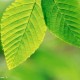 灰常记忆-<span class="yue-author-wrapper">钛客志<span class="yue-location"><svg class="yue-icon" viewBox="0 0 368.666 368.666" width="14" height="14"><g><path d="M184.333,0C102.01,0,35.036,66.974,35.036,149.297c0,33.969,11.132,65.96,32.193,92.515c27.27,34.383,106.572,116.021,109.934,119.479l7.169,7.375l7.17-7.374c3.364-3.46,82.69-85.116,109.964-119.51c21.042-26.534,32.164-58.514,32.164-92.485C333.63,66.974,266.656,0,184.333,0z M285.795,229.355c-21.956,27.687-80.92,89.278-101.462,110.581c-20.54-21.302-79.483-82.875-101.434-110.552c-18.228-22.984-27.863-50.677-27.863-80.087C55.036,78.002,113.038,20,184.333,20c71.294,0,129.297,58.002,129.296,129.297C313.629,178.709,304.004,206.393,285.795,229.355z"/><path d="M184.333,59.265c-48.73,0-88.374,39.644-88.374,88.374c0,48.73,39.645,88.374,88.374,88.374s88.374-39.645,88.374-88.374S233.063,59.265,184.333,59.265z M184.333,216.013c-37.702,0-68.374-30.673-68.374-68.374c0-37.702,30.673-68.374,68.374-68.374s68.373,30.673,68.374,68.374C252.707,185.341,222.035,216.013,184.333,216.013z"/></g></svg>来自中国·广东省</span></span>