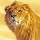 灰常记忆-<span class="yue-author-wrapper">PHP二次开发<span class="yue-location"><svg class="yue-icon" viewBox="0 0 368.666 368.666" width="14" height="14"><g><path d="M184.333,0C102.01,0,35.036,66.974,35.036,149.297c0,33.969,11.132,65.96,32.193,92.515c27.27,34.383,106.572,116.021,109.934,119.479l7.169,7.375l7.17-7.374c3.364-3.46,82.69-85.116,109.964-119.51c21.042-26.534,32.164-58.514,32.164-92.485C333.63,66.974,266.656,0,184.333,0z M285.795,229.355c-21.956,27.687-80.92,89.278-101.462,110.581c-20.54-21.302-79.483-82.875-101.434-110.552c-18.228-22.984-27.863-50.677-27.863-80.087C55.036,78.002,113.038,20,184.333,20c71.294,0,129.297,58.002,129.296,129.297C313.629,178.709,304.004,206.393,285.795,229.355z"/><path d="M184.333,59.265c-48.73,0-88.374,39.644-88.374,88.374c0,48.73,39.645,88.374,88.374,88.374s88.374-39.645,88.374-88.374S233.063,59.265,184.333,59.265z M184.333,216.013c-37.702,0-68.374-30.673-68.374-68.374c0-37.702,30.673-68.374,68.374-68.374s68.373,30.673,68.374,68.374C252.707,185.341,222.035,216.013,184.333,216.013z"/></g></svg>来自中国·山东省</span></span>