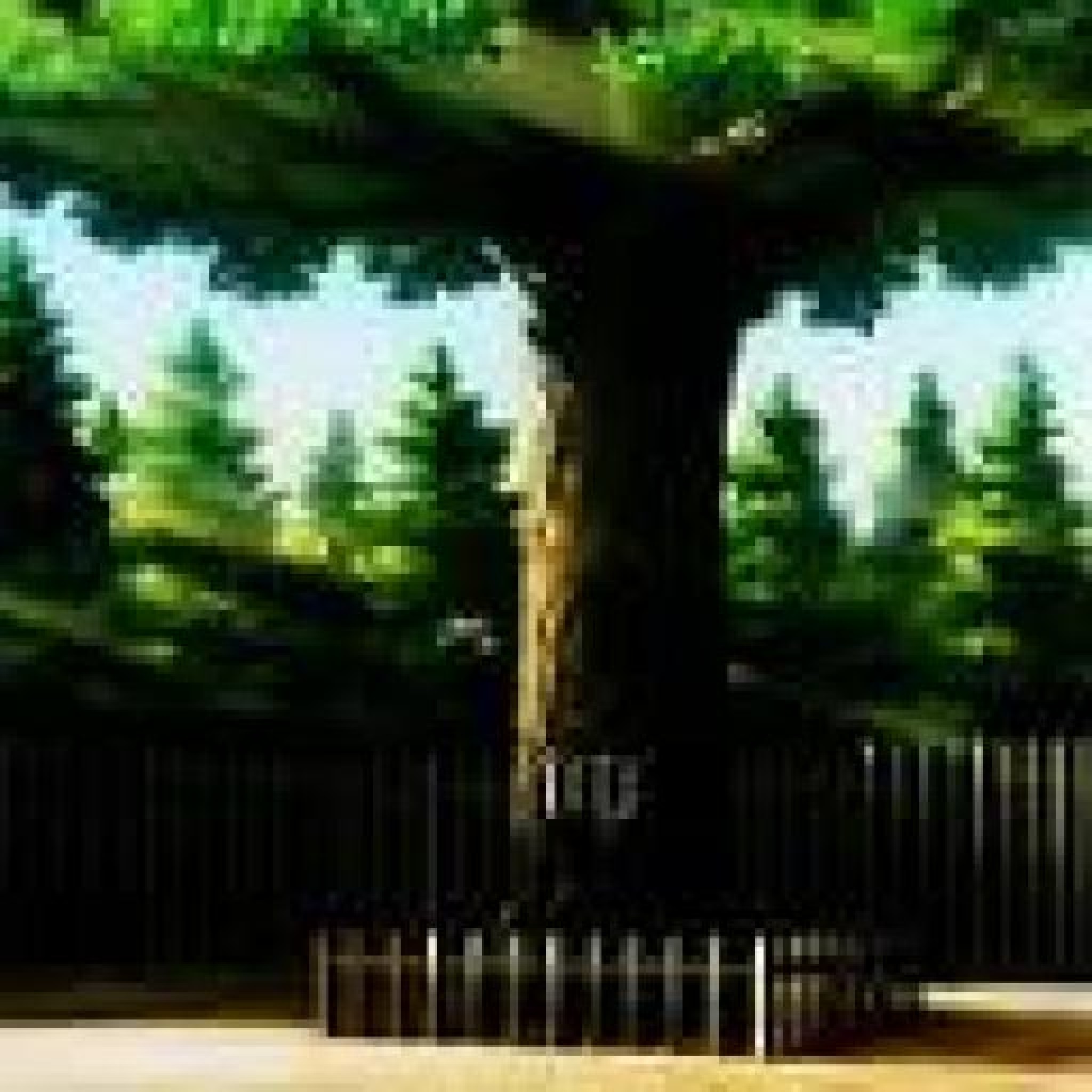 灰常记忆-<span class="yue-author-wrapper">木树<span class="yue-location"><svg class="yue-icon" viewBox="0 0 368.666 368.666" width="14" height="14"><g><path d="M184.333,0C102.01,0,35.036,66.974,35.036,149.297c0,33.969,11.132,65.96,32.193,92.515c27.27,34.383,106.572,116.021,109.934,119.479l7.169,7.375l7.17-7.374c3.364-3.46,82.69-85.116,109.964-119.51c21.042-26.534,32.164-58.514,32.164-92.485C333.63,66.974,266.656,0,184.333,0z M285.795,229.355c-21.956,27.687-80.92,89.278-101.462,110.581c-20.54-21.302-79.483-82.875-101.434-110.552c-18.228-22.984-27.863-50.677-27.863-80.087C55.036,78.002,113.038,20,184.333,20c71.294,0,129.297,58.002,129.296,129.297C313.629,178.709,304.004,206.393,285.795,229.355z"/><path d="M184.333,59.265c-48.73,0-88.374,39.644-88.374,88.374c0,48.73,39.645,88.374,88.374,88.374s88.374-39.645,88.374-88.374S233.063,59.265,184.333,59.265z M184.333,216.013c-37.702,0-68.374-30.673-68.374-68.374c0-37.702,30.673-68.374,68.374-68.374s68.373,30.673,68.374,68.374C252.707,185.341,222.035,216.013,184.333,216.013z"/></g></svg>来自中国·湖南省</span></span>