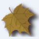灰常记忆-<span class="yue-author-wrapper">老何<span class="yue-location"><svg class="yue-icon" viewBox="0 0 368.666 368.666" width="14" height="14"><g><path d="M184.333,0C102.01,0,35.036,66.974,35.036,149.297c0,33.969,11.132,65.96,32.193,92.515c27.27,34.383,106.572,116.021,109.934,119.479l7.169,7.375l7.17-7.374c3.364-3.46,82.69-85.116,109.964-119.51c21.042-26.534,32.164-58.514,32.164-92.485C333.63,66.974,266.656,0,184.333,0z M285.795,229.355c-21.956,27.687-80.92,89.278-101.462,110.581c-20.54-21.302-79.483-82.875-101.434-110.552c-18.228-22.984-27.863-50.677-27.863-80.087C55.036,78.002,113.038,20,184.333,20c71.294,0,129.297,58.002,129.296,129.297C313.629,178.709,304.004,206.393,285.795,229.355z"/><path d="M184.333,59.265c-48.73,0-88.374,39.644-88.374,88.374c0,48.73,39.645,88.374,88.374,88.374s88.374-39.645,88.374-88.374S233.063,59.265,184.333,59.265z M184.333,216.013c-37.702,0-68.374-30.673-68.374-68.374c0-37.702,30.673-68.374,68.374-68.374s68.373,30.673,68.374,68.374C252.707,185.341,222.035,216.013,184.333,216.013z"/></g></svg>来自中国·安徽省</span></span>