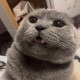 灰常记忆-<span class="yue-author-wrapper">emorsl<span class="yue-location"><svg class="yue-icon" viewBox="0 0 368.666 368.666" width="14" height="14"><g><path d="M184.333,0C102.01,0,35.036,66.974,35.036,149.297c0,33.969,11.132,65.96,32.193,92.515c27.27,34.383,106.572,116.021,109.934,119.479l7.169,7.375l7.17-7.374c3.364-3.46,82.69-85.116,109.964-119.51c21.042-26.534,32.164-58.514,32.164-92.485C333.63,66.974,266.656,0,184.333,0z M285.795,229.355c-21.956,27.687-80.92,89.278-101.462,110.581c-20.54-21.302-79.483-82.875-101.434-110.552c-18.228-22.984-27.863-50.677-27.863-80.087C55.036,78.002,113.038,20,184.333,20c71.294,0,129.297,58.002,129.296,129.297C313.629,178.709,304.004,206.393,285.795,229.355z"/><path d="M184.333,59.265c-48.73,0-88.374,39.644-88.374,88.374c0,48.73,39.645,88.374,88.374,88.374s88.374-39.645,88.374-88.374S233.063,59.265,184.333,59.265z M184.333,216.013c-37.702,0-68.374-30.673-68.374-68.374c0-37.702,30.673-68.374,68.374-68.374s68.373,30.673,68.374,68.374C252.707,185.341,222.035,216.013,184.333,216.013z"/></g></svg>来自Italy·Lazio</span></span>