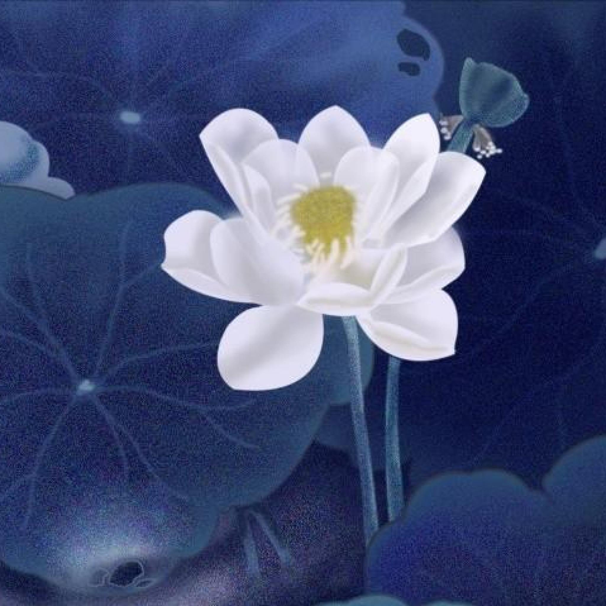 灰常记忆-<span class="yue-author-wrapper">fshuizhe<span class="yue-location"><svg class="yue-icon" viewBox="0 0 368.666 368.666" width="14" height="14"><g><path d="M184.333,0C102.01,0,35.036,66.974,35.036,149.297c0,33.969,11.132,65.96,32.193,92.515c27.27,34.383,106.572,116.021,109.934,119.479l7.169,7.375l7.17-7.374c3.364-3.46,82.69-85.116,109.964-119.51c21.042-26.534,32.164-58.514,32.164-92.485C333.63,66.974,266.656,0,184.333,0z M285.795,229.355c-21.956,27.687-80.92,89.278-101.462,110.581c-20.54-21.302-79.483-82.875-101.434-110.552c-18.228-22.984-27.863-50.677-27.863-80.087C55.036,78.002,113.038,20,184.333,20c71.294,0,129.297,58.002,129.296,129.297C313.629,178.709,304.004,206.393,285.795,229.355z"/><path d="M184.333,59.265c-48.73,0-88.374,39.644-88.374,88.374c0,48.73,39.645,88.374,88.374,88.374s88.374-39.645,88.374-88.374S233.063,59.265,184.333,59.265z M184.333,216.013c-37.702,0-68.374-30.673-68.374-68.374c0-37.702,30.673-68.374,68.374-68.374s68.373,30.673,68.374,68.374C252.707,185.341,222.035,216.013,184.333,216.013z"/></g></svg>来自中国·湖南省</span></span>