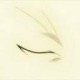 灰常记忆-<span class="yue-author-wrapper">luacloud<span class="yue-location"><svg class="yue-icon" viewBox="0 0 368.666 368.666" width="14" height="14"><g><path d="M184.333,0C102.01,0,35.036,66.974,35.036,149.297c0,33.969,11.132,65.96,32.193,92.515c27.27,34.383,106.572,116.021,109.934,119.479l7.169,7.375l7.17-7.374c3.364-3.46,82.69-85.116,109.964-119.51c21.042-26.534,32.164-58.514,32.164-92.485C333.63,66.974,266.656,0,184.333,0z M285.795,229.355c-21.956,27.687-80.92,89.278-101.462,110.581c-20.54-21.302-79.483-82.875-101.434-110.552c-18.228-22.984-27.863-50.677-27.863-80.087C55.036,78.002,113.038,20,184.333,20c71.294,0,129.297,58.002,129.296,129.297C313.629,178.709,304.004,206.393,285.795,229.355z"/><path d="M184.333,59.265c-48.73,0-88.374,39.644-88.374,88.374c0,48.73,39.645,88.374,88.374,88.374s88.374-39.645,88.374-88.374S233.063,59.265,184.333,59.265z M184.333,216.013c-37.702,0-68.374-30.673-68.374-68.374c0-37.702,30.673-68.374,68.374-68.374s68.373,30.673,68.374,68.374C252.707,185.341,222.035,216.013,184.333,216.013z"/></g></svg>来自中国·黑龙江省</span></span>